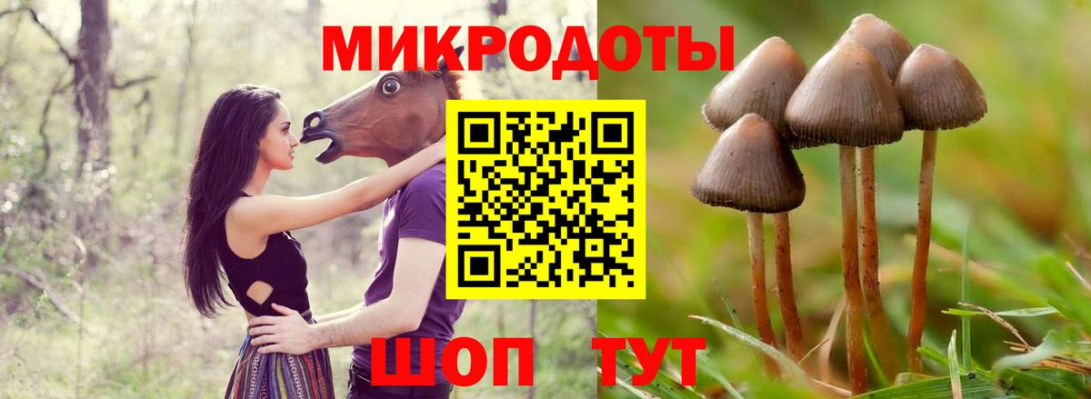 Дивногорск  Псилоцибиновые грибы Psilocybe  где купить наркотик  Вход с VPN 